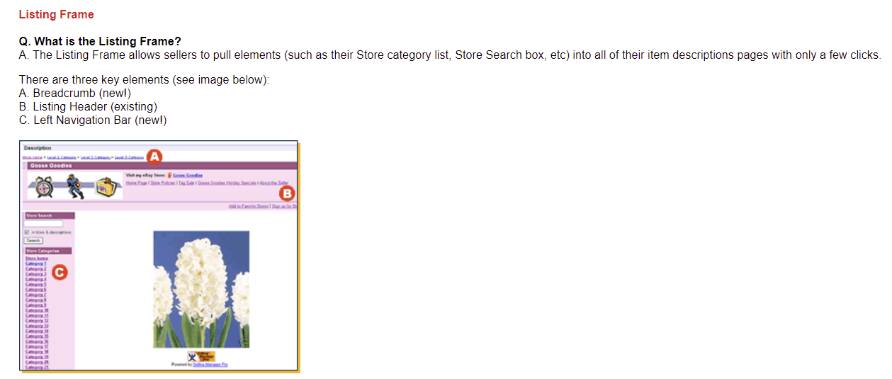 eBay Listing Frame Replaced With Category Module